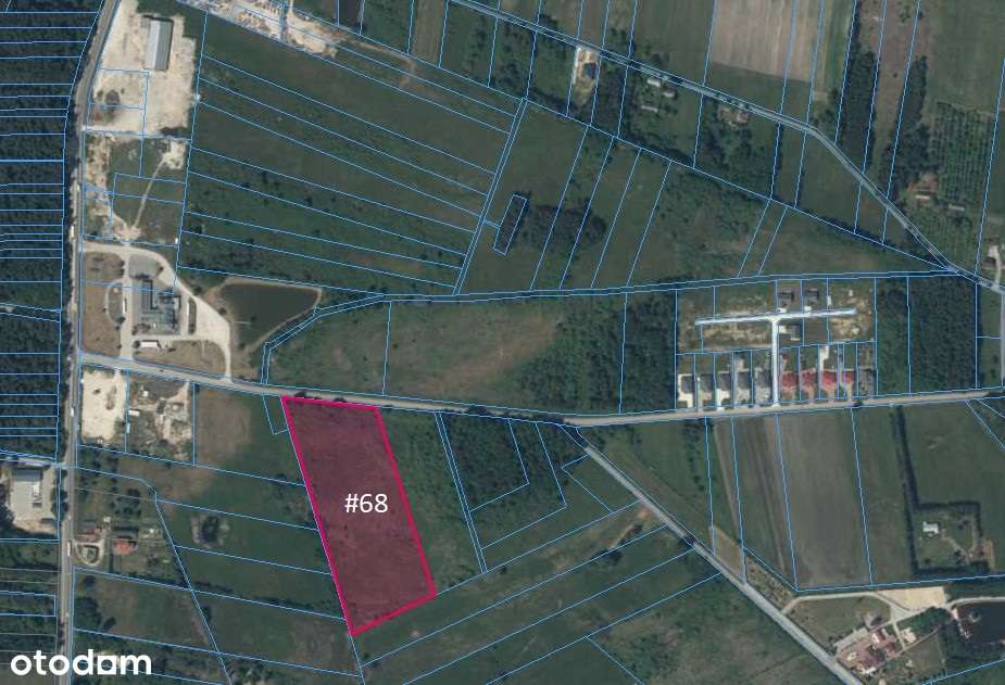 Sprzedam działki 17.18 ha, Elżbiecin, blisko drogi Busko-Kielce 73 - Pełny obrazek: 5/6