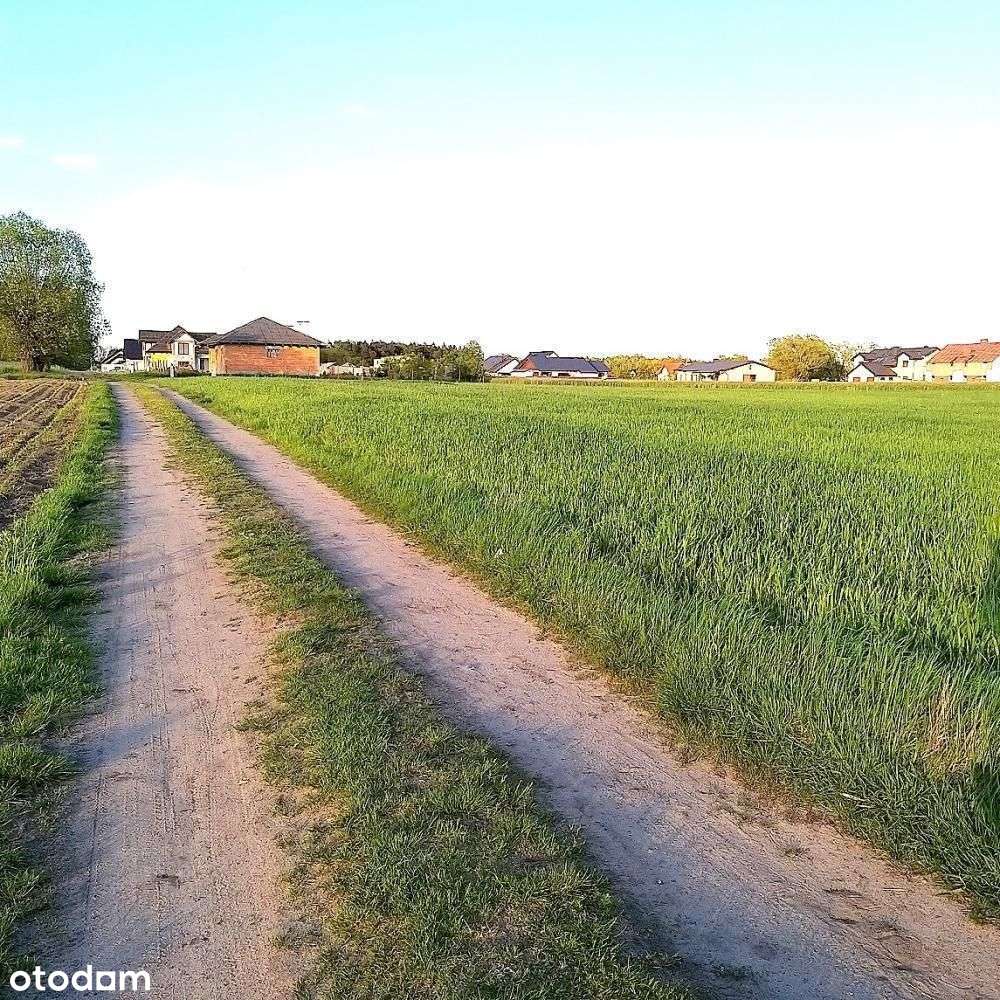 Otusz - 1436 m2 z możliwością podziału na dwie - Pełny obrazek: 4/6