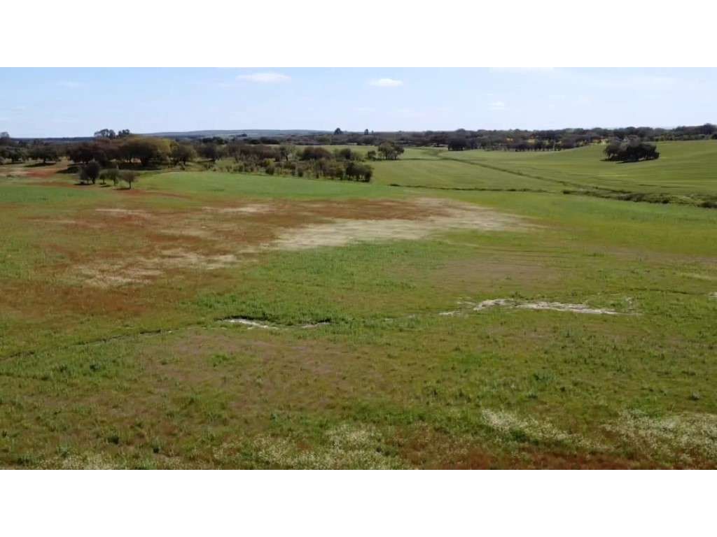 TERRENO DE 22,45 HA COM RUÍNA DE 240 M² PARA RECUPERAÇÃO EM FERREIR...-17