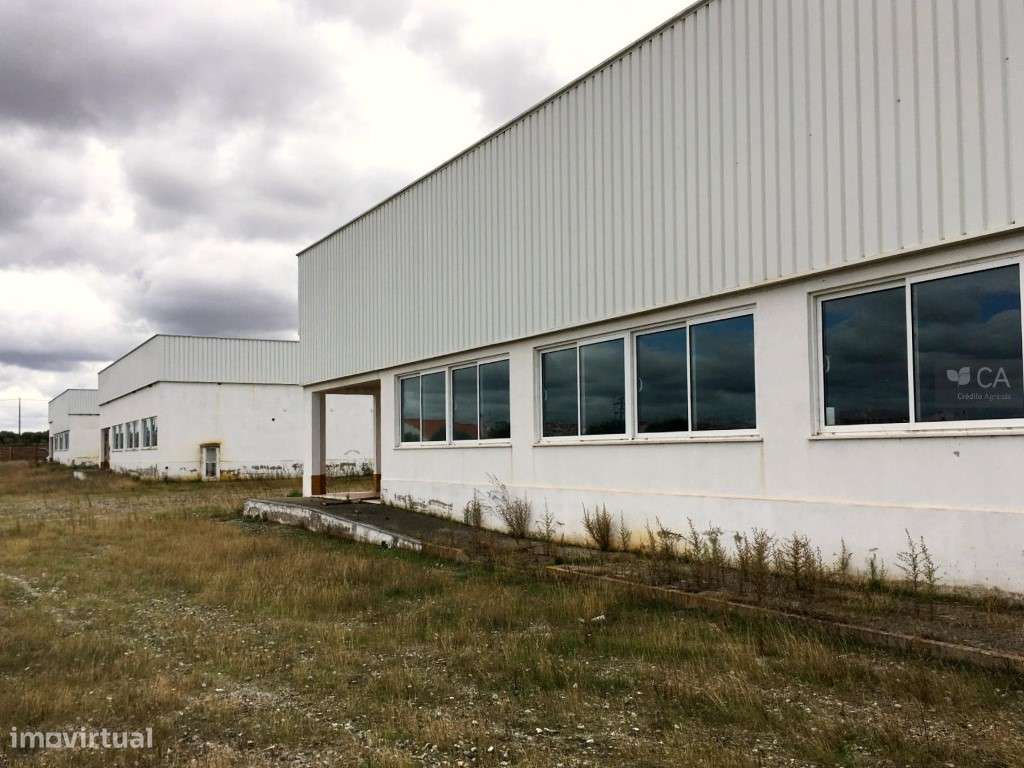 Armazéns e moradia inseridos em terreno com 109.500m² situado em Sa... - Grande imagem: 5/20