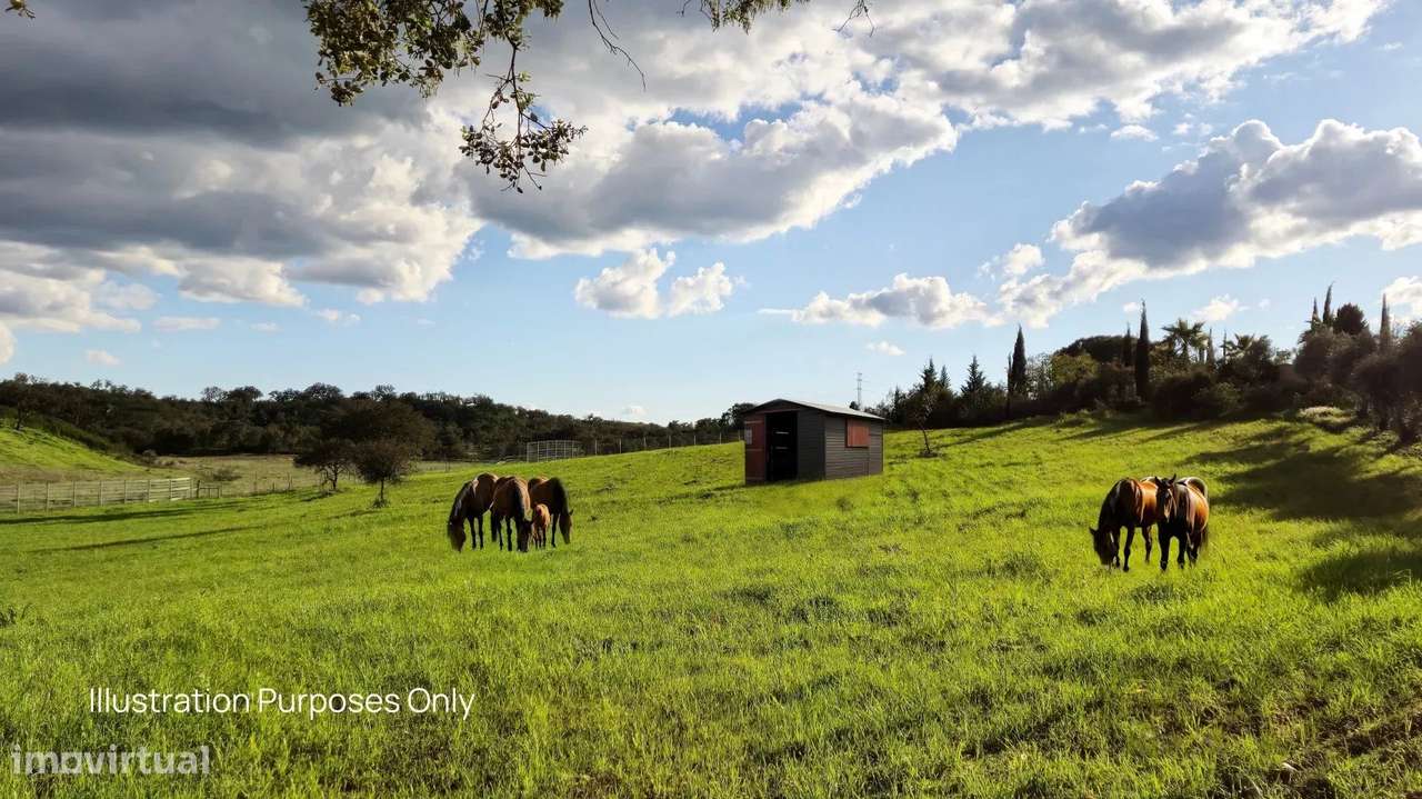 Casa senhorial privada com piscina em mais de 5 hectares.-6