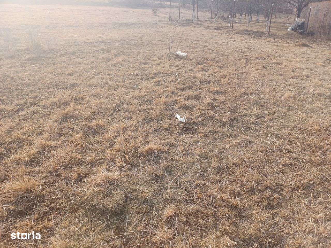 Vand teren intravilan in Becas - Imagine principală: 3/3