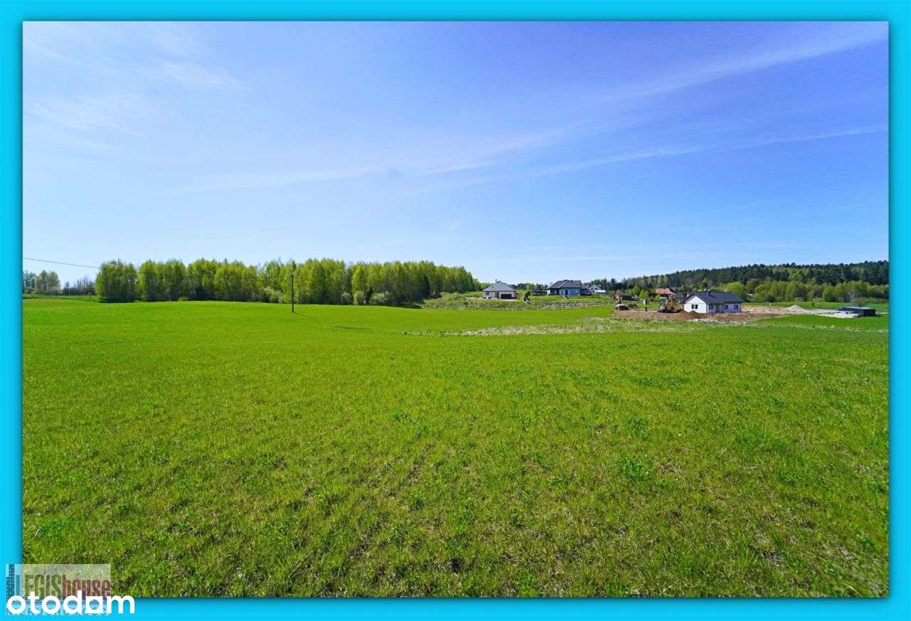 Różnowo* 3004 m2* możliwość podziału na 2 działki-14