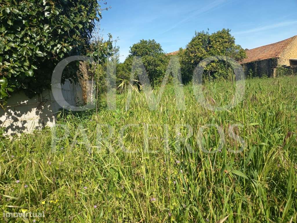 Moradia T3+Terreno-24