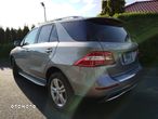 Mercedes-Benz ML 350 4MATIC (BlueEFFICIENCY) 7G-TRONIC - 15