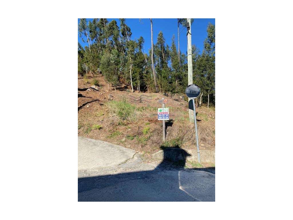 TERRENO COM VIABILIDADE DE CONSTRUÇÃO EM PESSEGUEIRO DO VOUGA - Grande imagem: 4/8