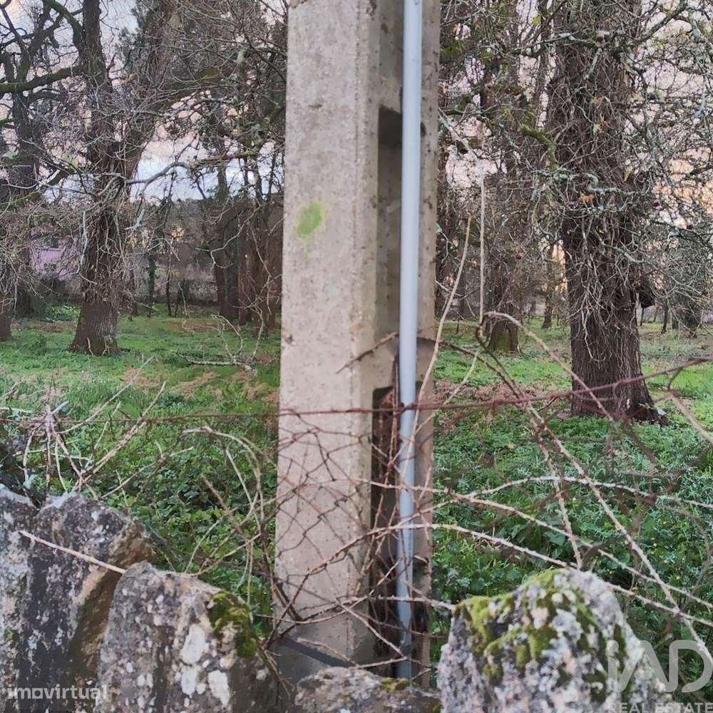 Terreno para construção em Monção e Troviscoso de 7800,00 m2 - Grande imagem: 4/7