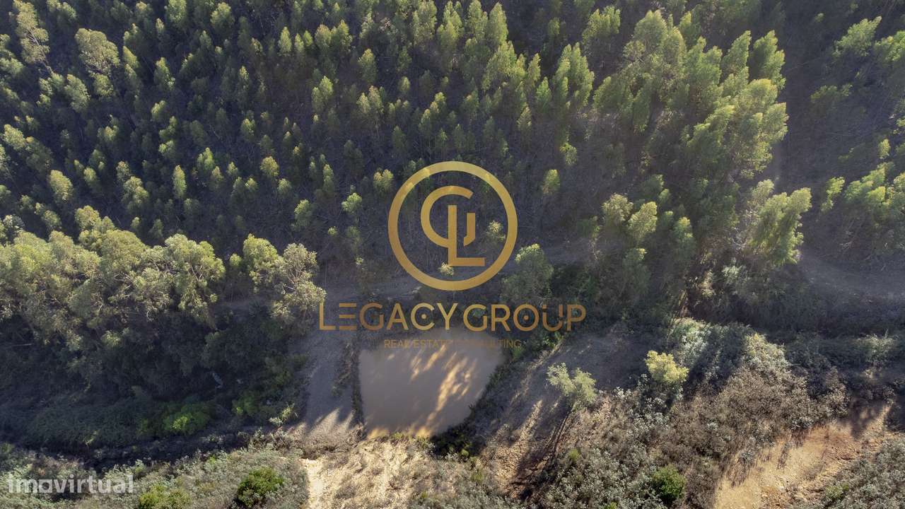 Propriedade de 10 hectares perto da barragem de Odelouca-14