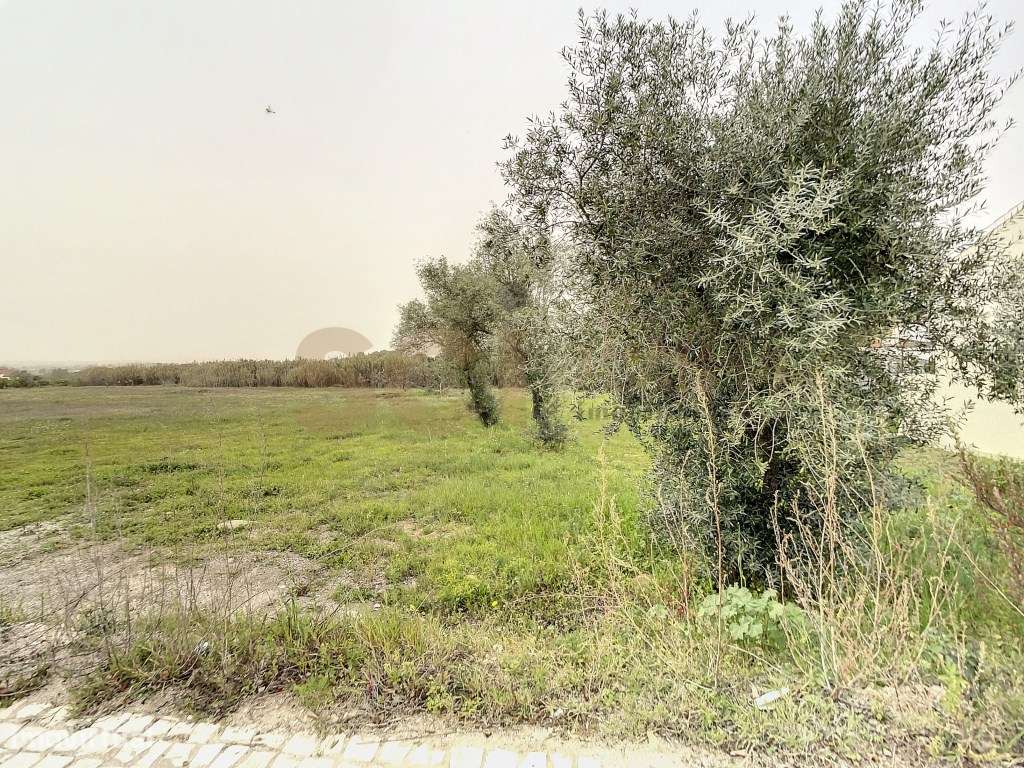 Terreno Urbano Quinta do Anjo, PIP análise para 16 moradias. - Grande imagem: 5/22