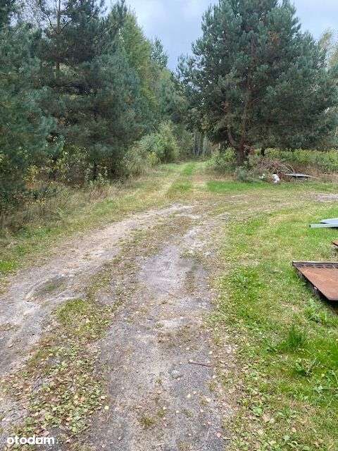 Urokliwa działka Bezpośrednio z warunkami zabudowy - Pełny obrazek: 4/7