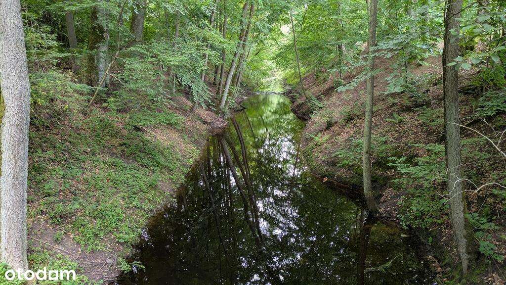 Na sprzedaż siedlisko na Pojezierzu Drawskim.-17