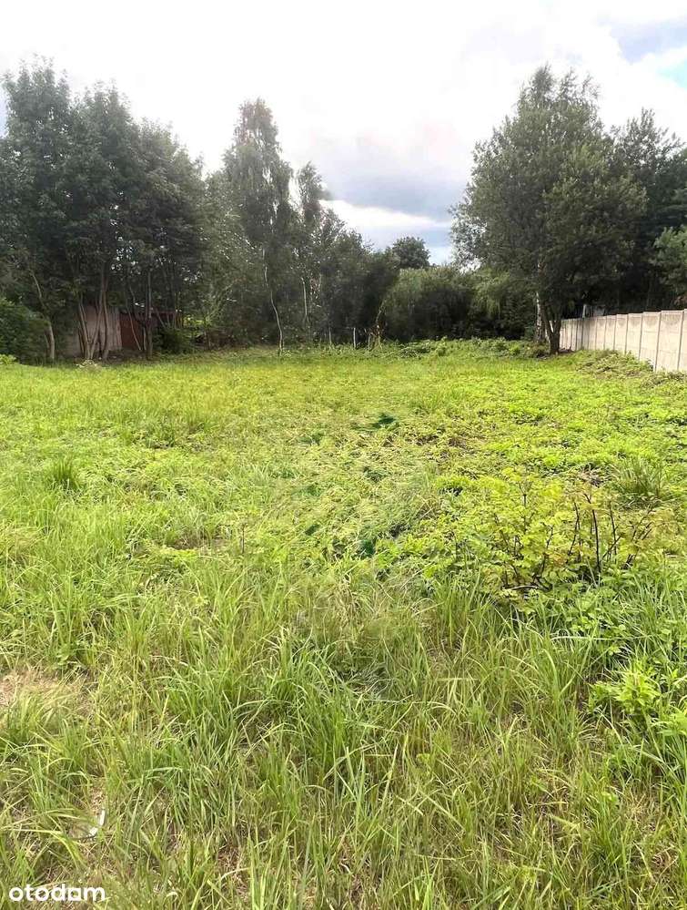 Działka budowlana przy jeziorze Pogoria - Pełny obrazek: 2/2