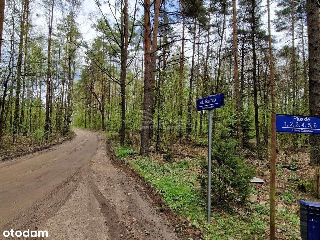 Henrykowo – Raj wśród zieleni, spokój i natura-19