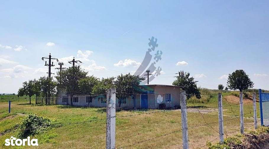 85 400 M Teren De Vanzare Bihor Judet Bors 5692918 Www Storia Ro