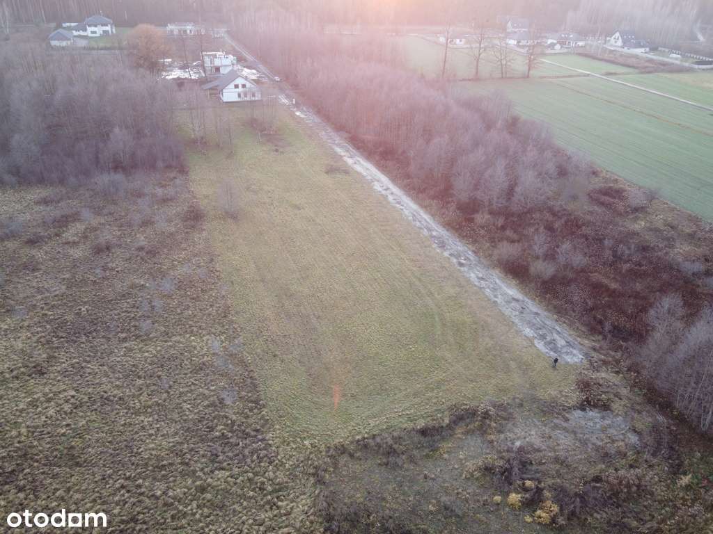 Atrakcyjne działki pod zabudowę – Wielogóra-10