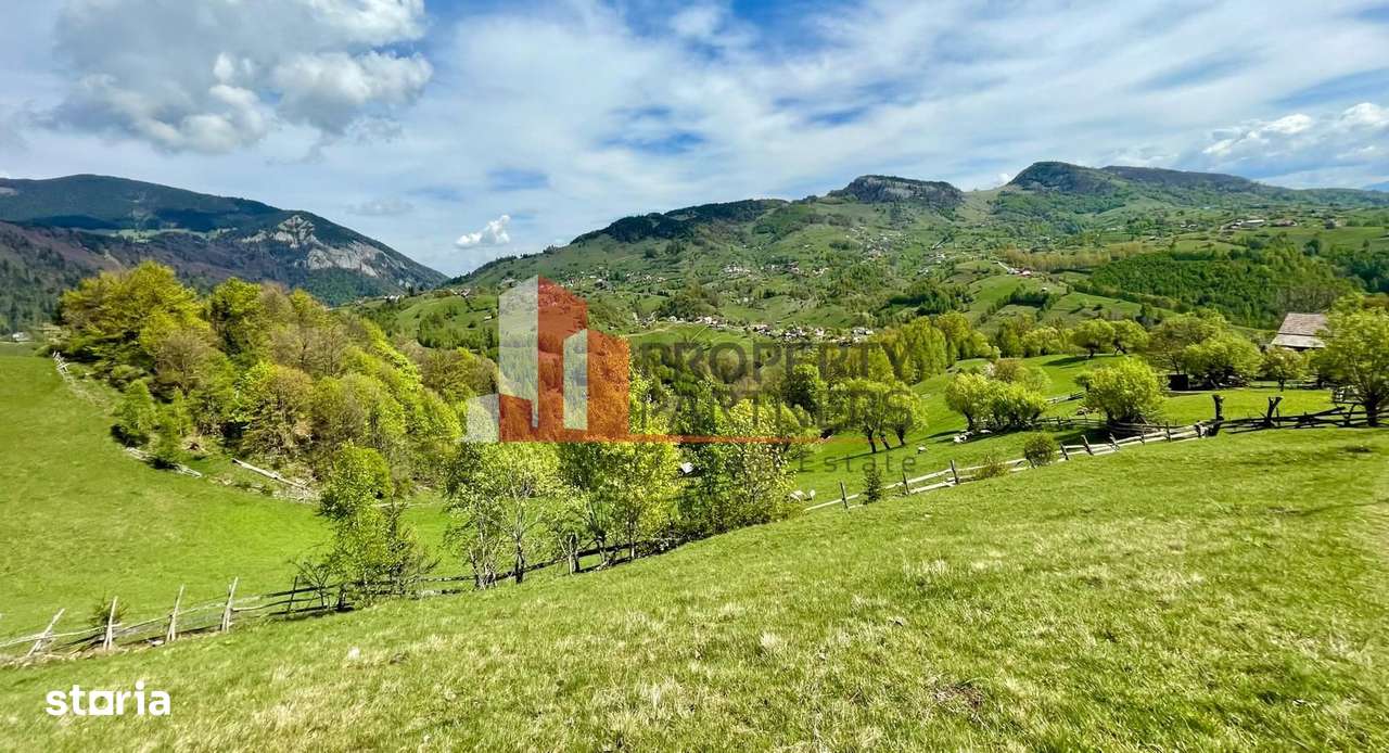 Teren in sat Pestera, comuna Moeciu. - Imagine principală: 5/13