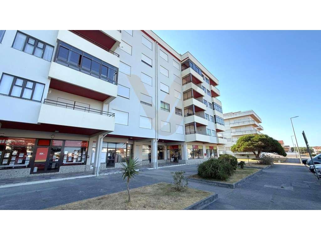 Loja - Amorosa, Chafé, Viana do Castelo - Grande imagem: 3/10