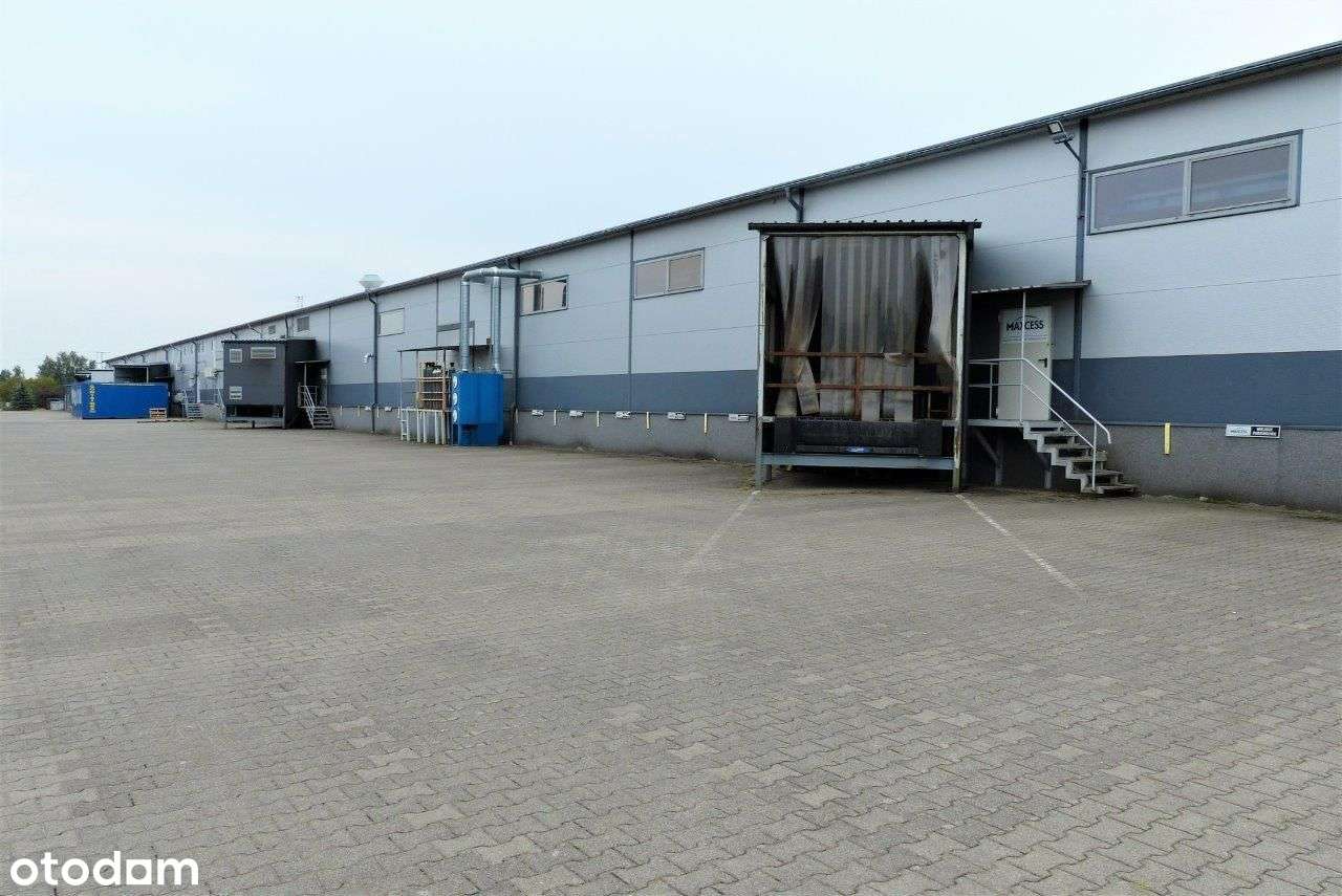 Wynajmę halę produkcyjno-magazynową – Bugaj/Poznań BEZPOŚREDNIO - Pełny obrazek: 4/12