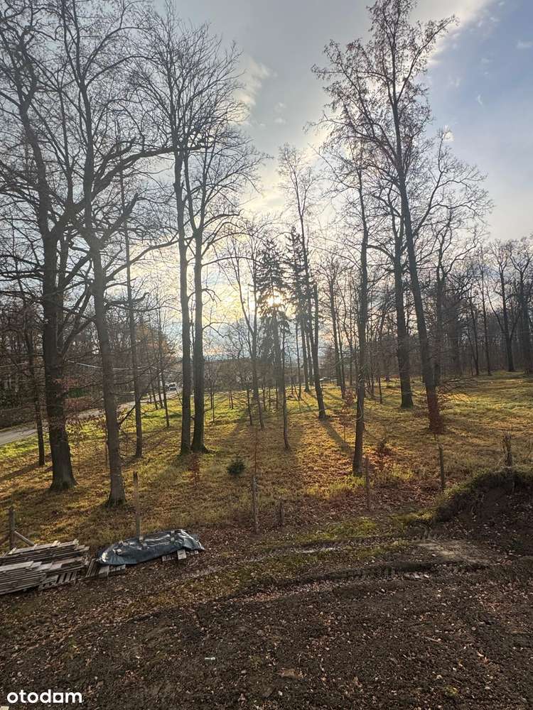 Duży dom sąsiadujący z parkiem - Pełny obrazek: 5/15