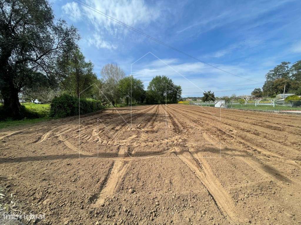 Terreno - Albergaria-a-Velha - Grande imagem: 5/5