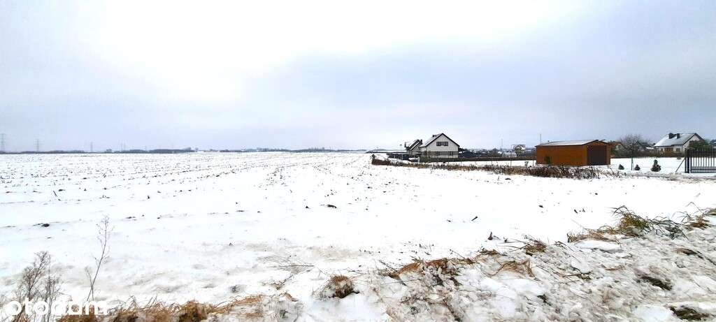 Kompleks działek przy ul. A . Kujałowicz - Pełny obrazek: 2/2
