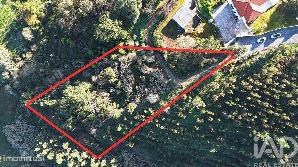 Terreno Agrícola em Mafra - Grande imagem: 2/40