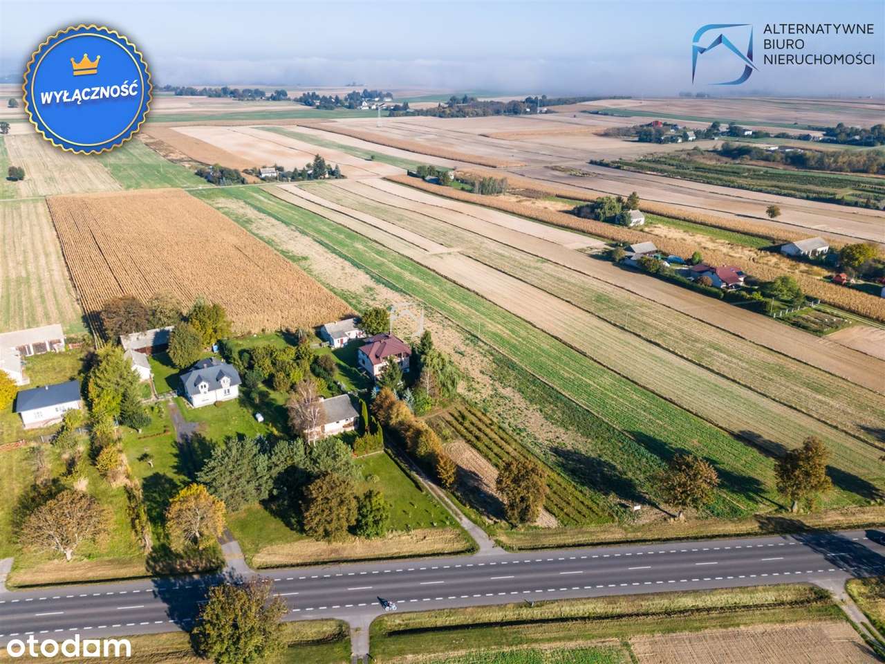 Grunt budowlano-rolny 1ha- 155 tys Struża Kol. - Pełny obrazek: 2/14