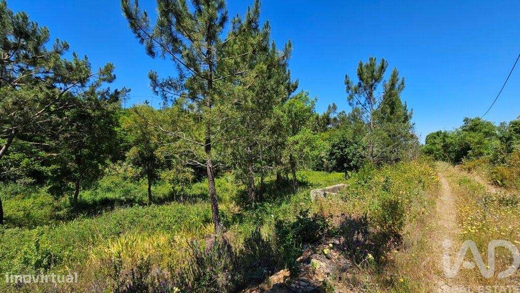 Quinta T2 em São Teotónio de 140,00 m2 - Grande imagem: 4/9