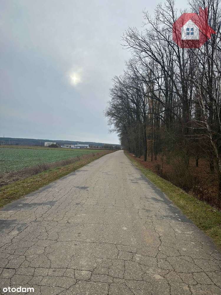 Zadrzewiona działka 2100 m² - 10 minut od Zegrza-2