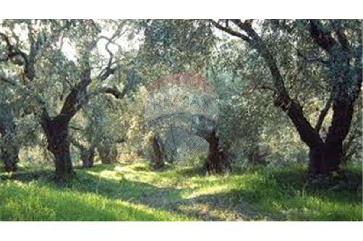 Terreno  para venda - Grande imagem: 3/3