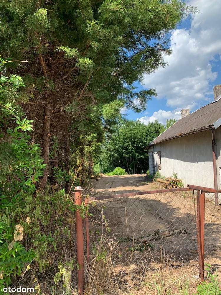 Sprzedam dzialka z domem - Pełny obrazek: 4/8