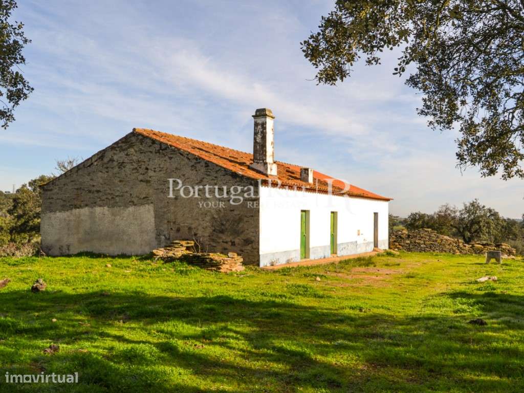 Herdade de 60 ha e monte, em Reguengos de Monsaraz-7