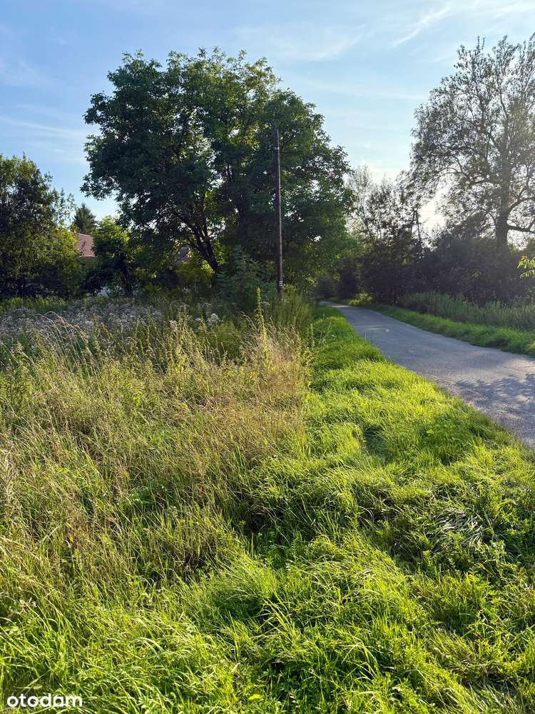 Na sprzedaż działka budowlana 1468 m² – gm. Niemcza-1