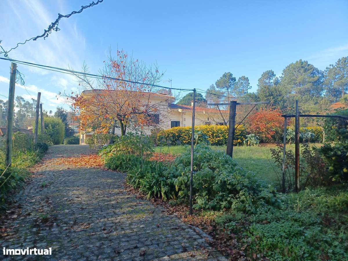 2 Casas - 2 artigos casa principal + Casinha  (Tipo T1)  em Lago-11