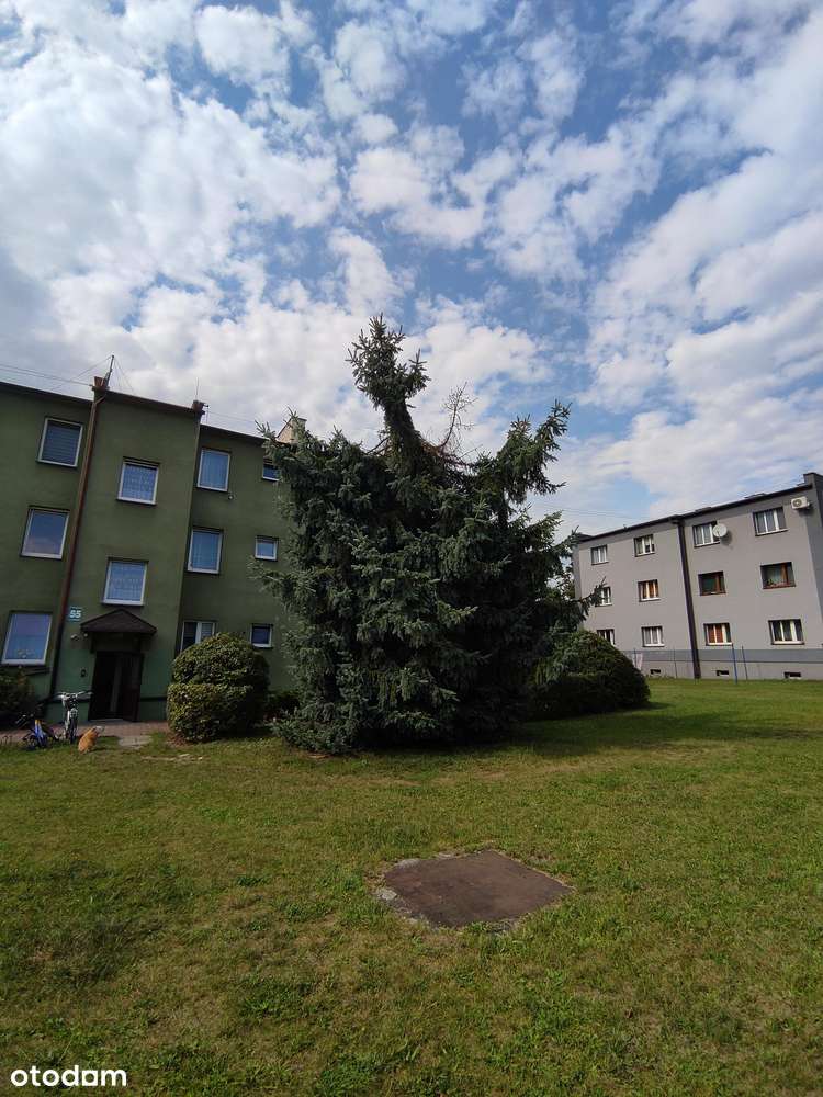 Piękne po remoncie, wszystko nowe na gwarancji!-17