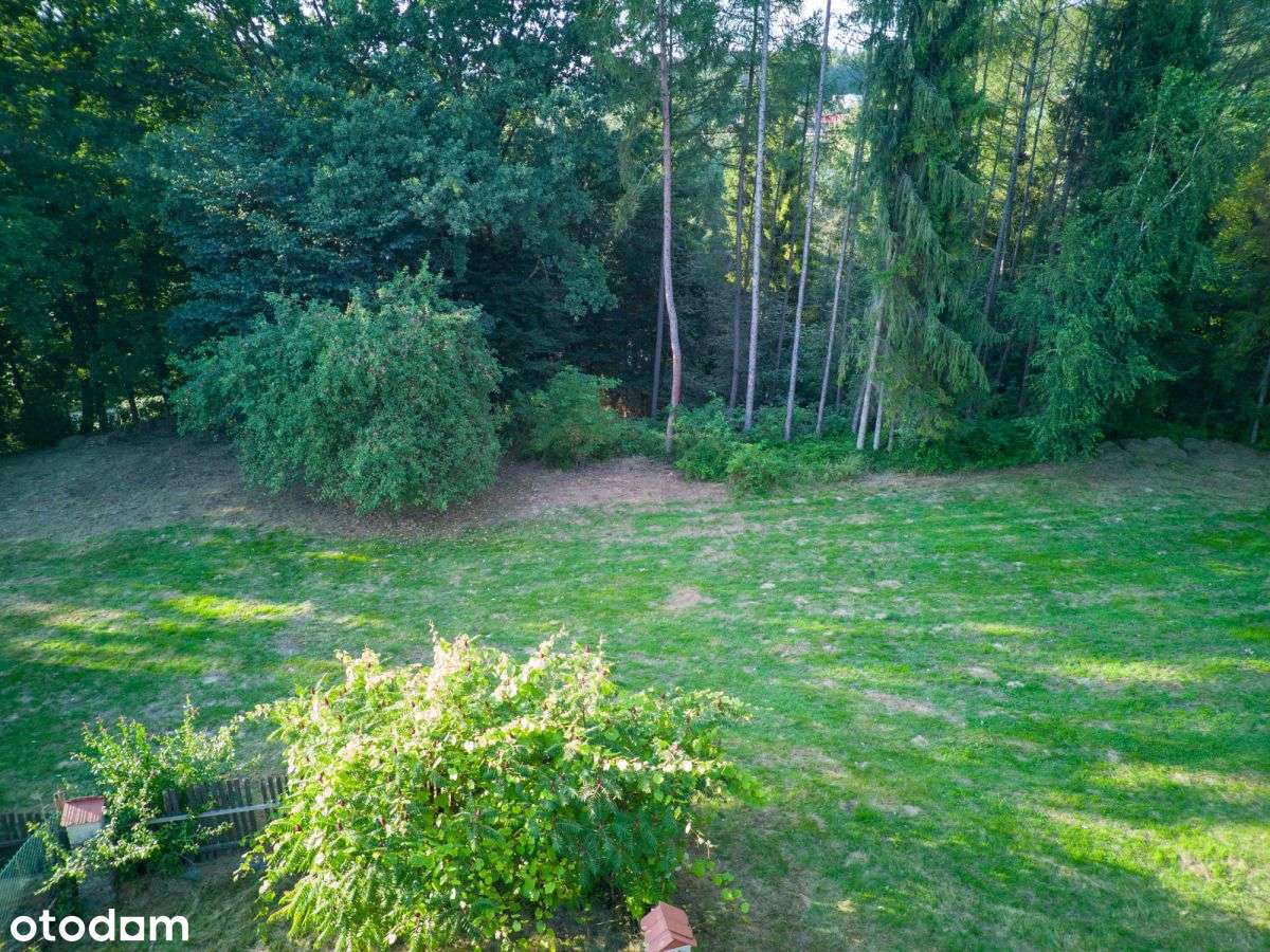 Duży dom z dużą działką, z potencjałem - Pełny obrazek: 4/20