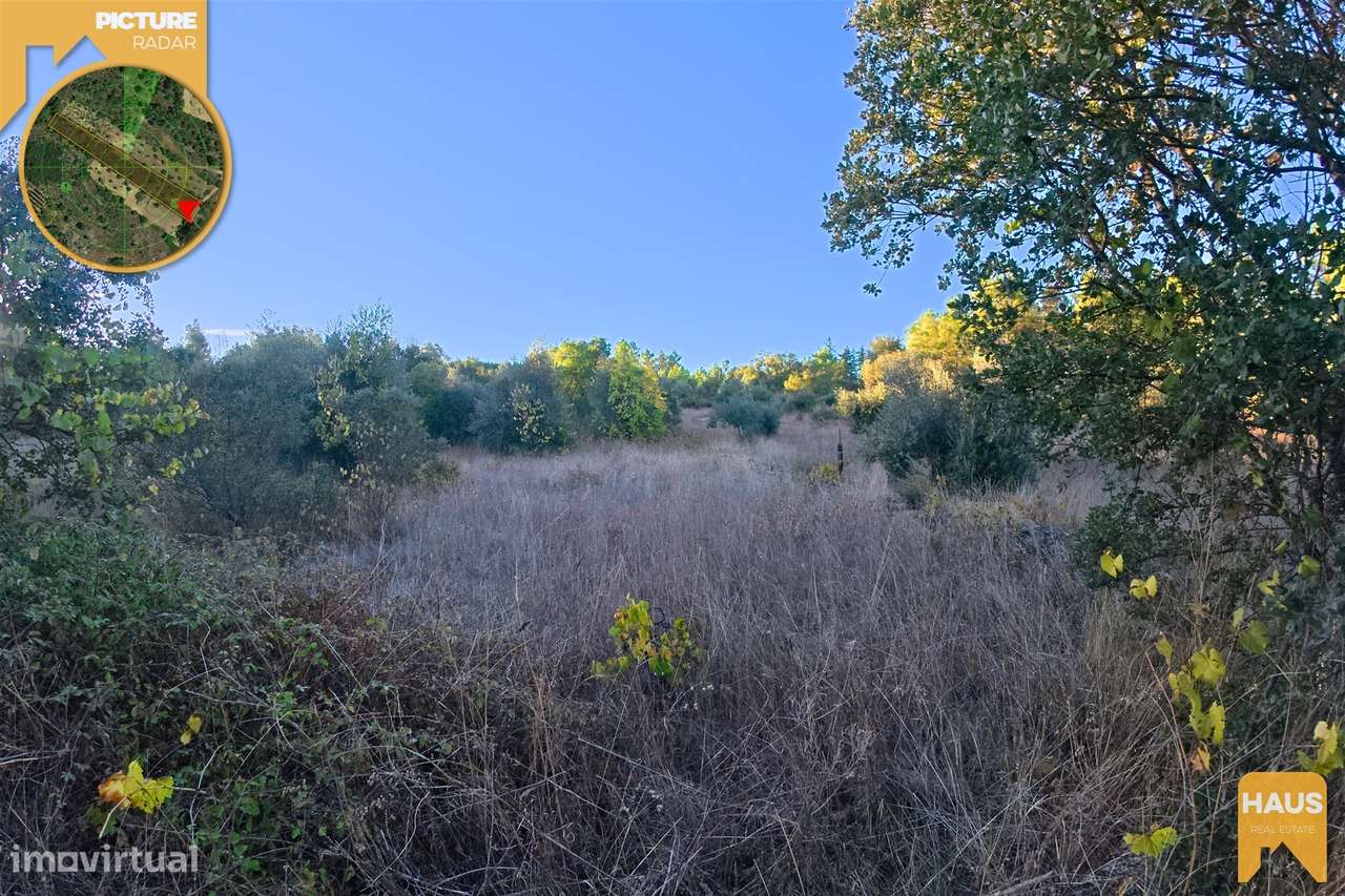 Terreno Rústico 2.300m² c/ Muros de Pedra – Juncal do Campo-17