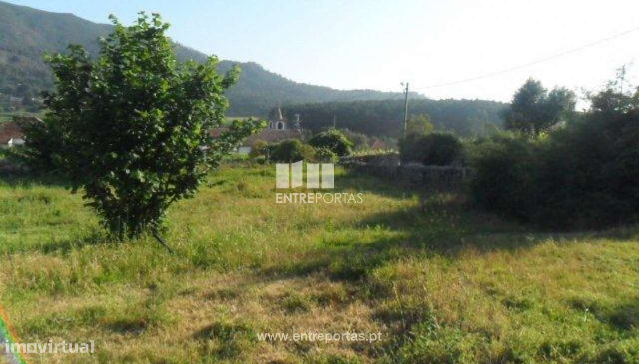 Terreno Freixieiro de Soutelo - Grande imagem: 3/4