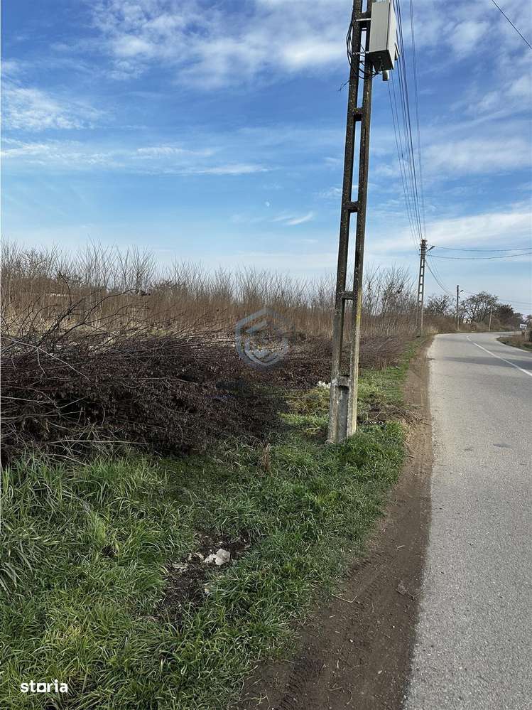 Parcele Intravilan, 5km de Salonta, Utilitati si asfalt - Imagine principală: 2/2