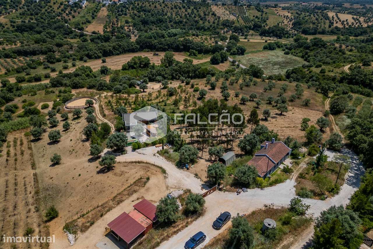 Quinta T2+2 Venda em Brogueira, Parceiros de Igreja e Alcorochel,Torre - Grande imagem: 2/50