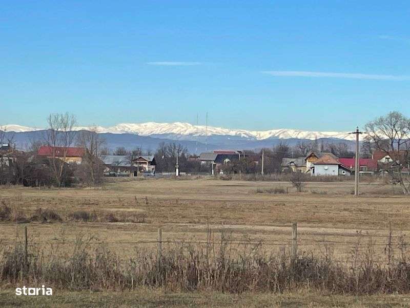 Teren intravilan 5000mp Gheboieni in localitate 23 metri la DN - Imagine principală: 4/5