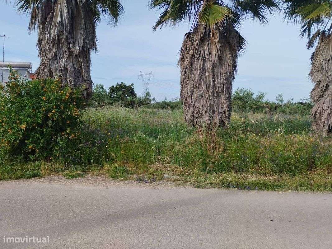 Terreno  para venda - Grande imagem: 5/6