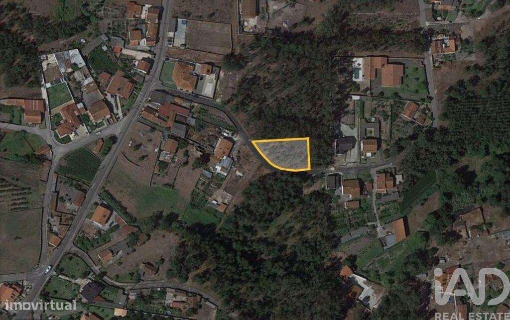 Terreno Agrícola em Marinha Grande - Grande imagem: 4/14
