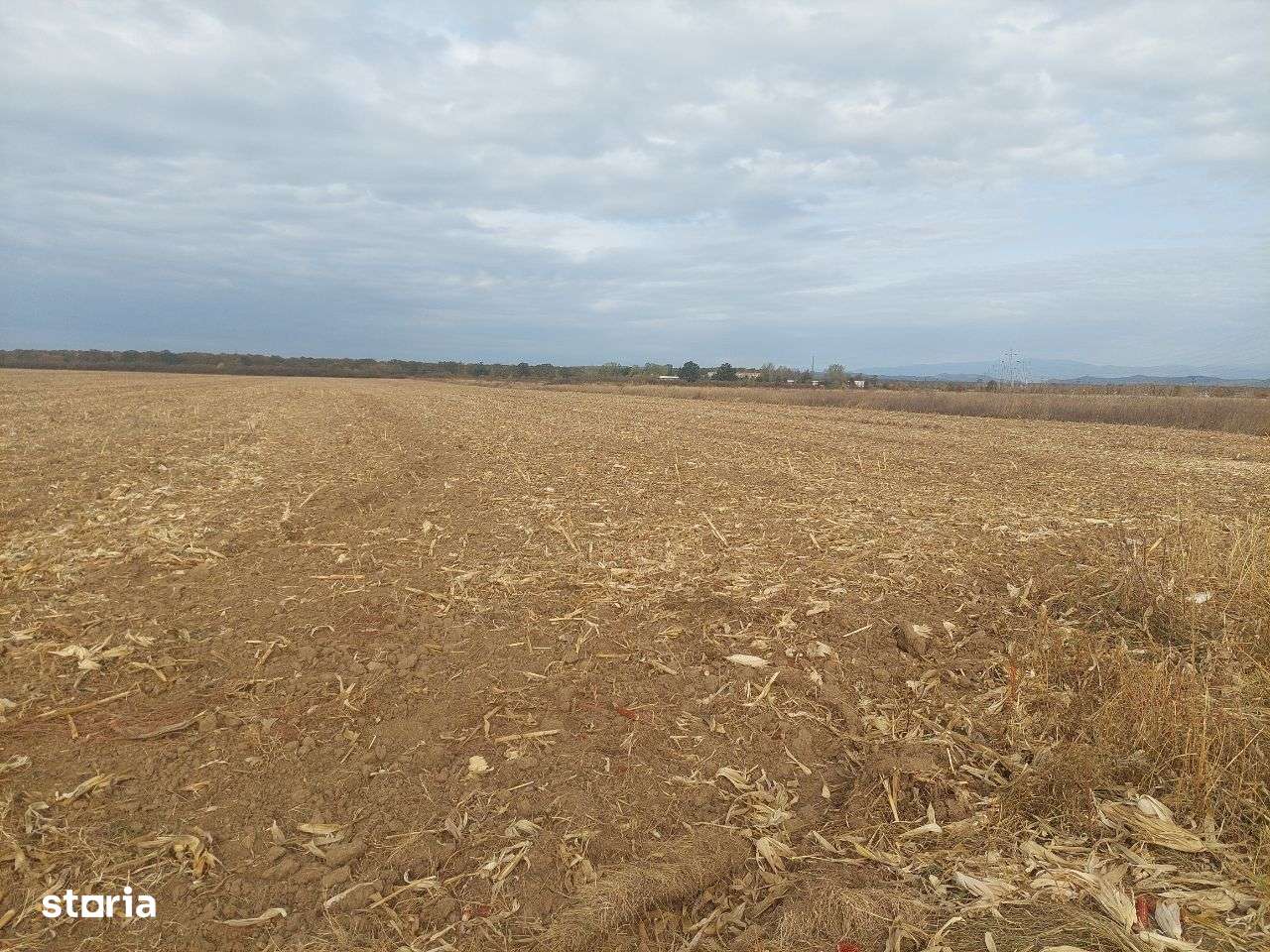 Teren dezvoltare rezidentiala / industriala - Dumbrava - comision 0%!-3