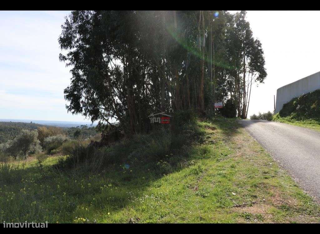 Terreno com possibilidade de construção - Grande imagem: 4/11