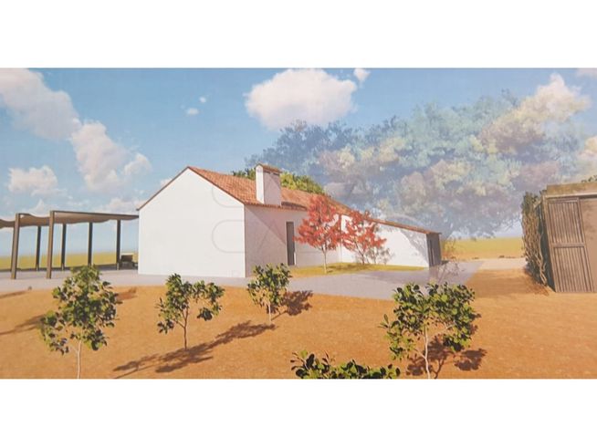 Herdade de 28.000m2 com vinha moscatel e habitações-29