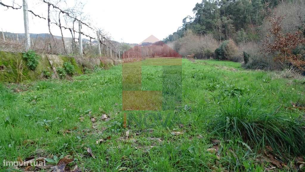 Vende-se Terreno, Godinhaços - Grande imagem: 2/8