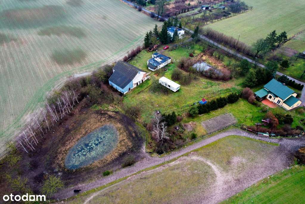 Urokliwa działka ze stawem spokój  CISZA NOWA CENA - Pełny obrazek: 2/7