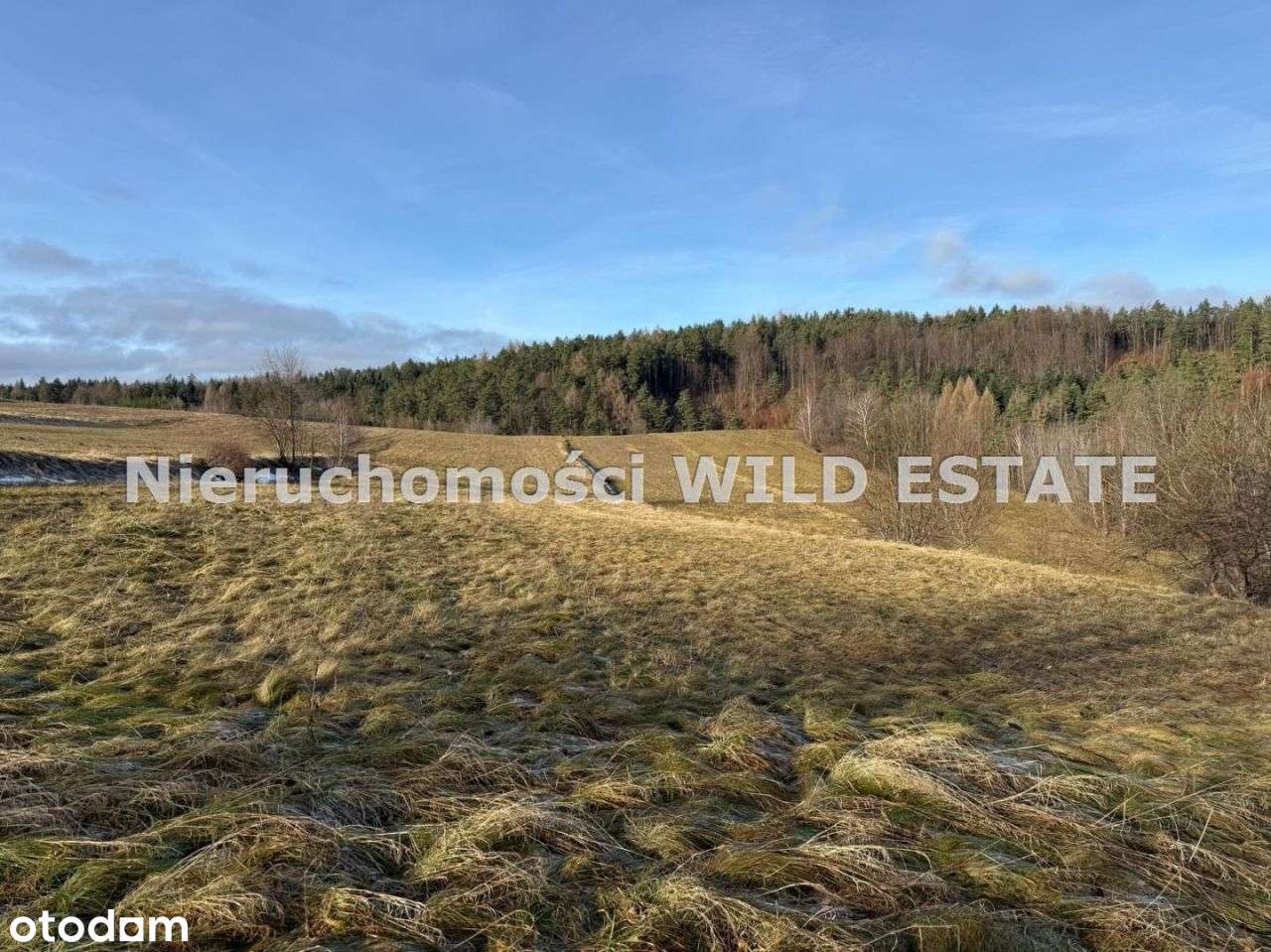 Działka, 3 402 m², Berezka-0