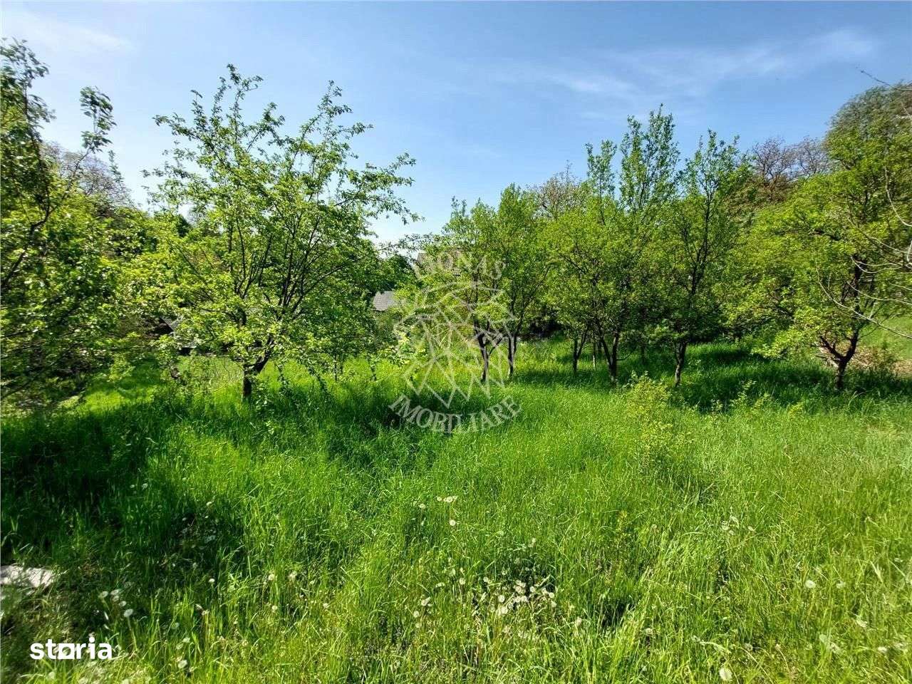 Cabana/ Casa Vacanta-4 camere-gradina 7400 mp- Mijlocenii Bargaului - Imagine principală: 5/10